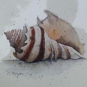 Two D. Morgan Seashell Framed Prints Browns, Pinks, Whites and Tan Artist Signed